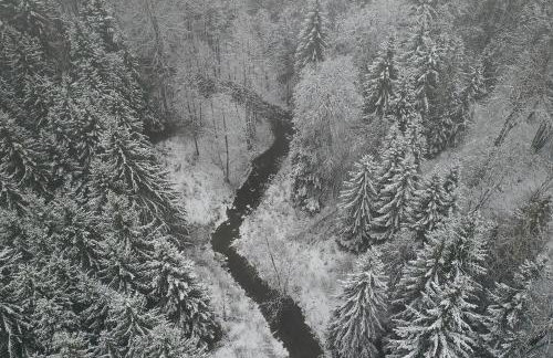 Wigierski Park Narodowy - Foto 22