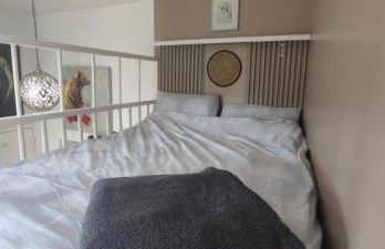 Cosy studios - Photo 35