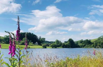 Lake view Romantic retreat - Foto 25