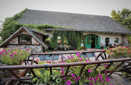 Domy Konesera - Foto 21