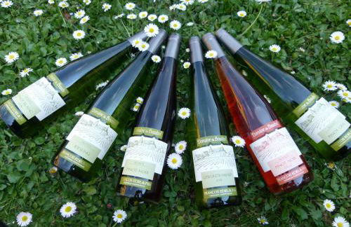 Domaine du Bouxhof - Foto 16