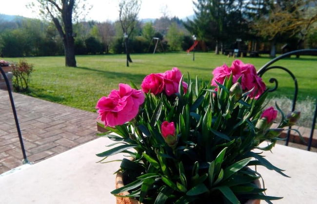 Country House Parco Ducale - Foto 40