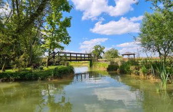 Beautiful 1-bed Cabin in Newmarket - Foto 13