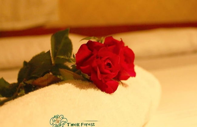 Thick forest sigiriya - Photo 17