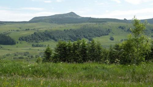 GITE LES 1000 FLEURS - Foto 5