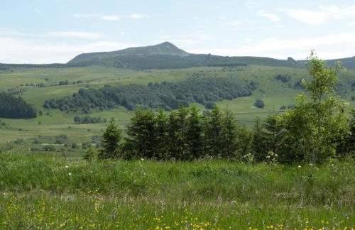 GITE LES 1000 FLEURS - Foto 5