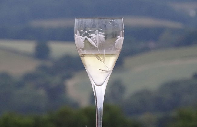 Outstandingly Situated Cosy Shepherds Hut - Photo 15