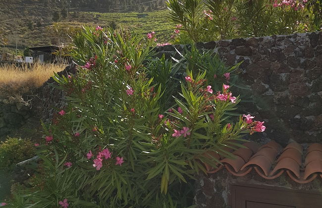 Casa los Viñedos - Foto 40