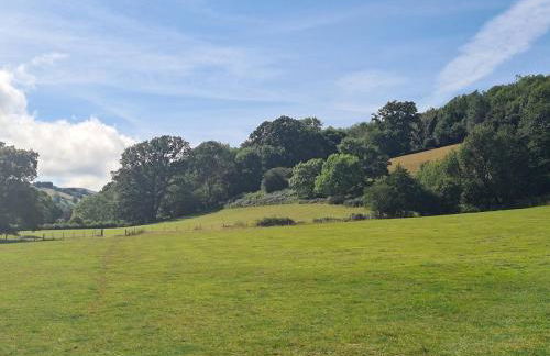 Shepherd's Hut in heart of the Brecon Beacons - Photo 15