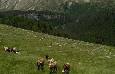 Sogno Alpino - Foto 16