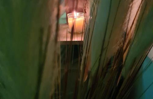CATALEYA - Photo 9