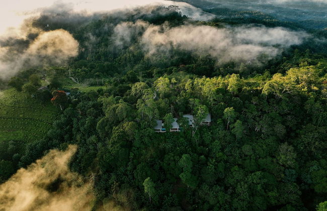 Celestial Hills - by The Clarks - Foto 1