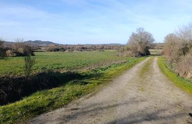 Trisquel 2 - Foto 24