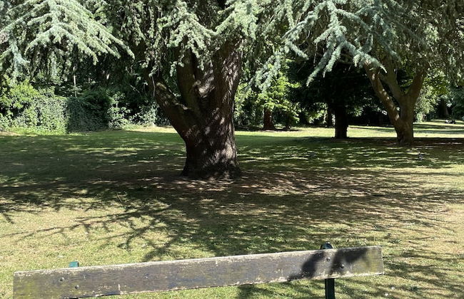 Immaculate 1-bed Apartment in Orpington - Foto 11