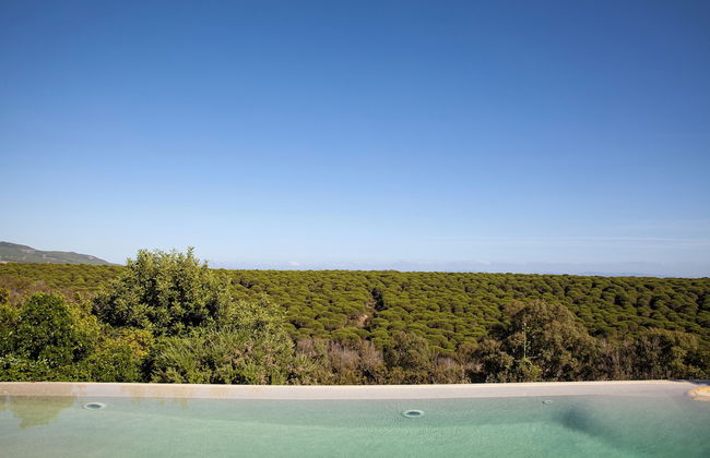 Love Garden - Photo 68