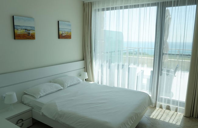 Calithea Complex - Photo 13