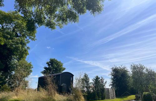 Limetree Luxury Glamping Portland - Foto 37