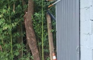 Kombi Home - Photo 6