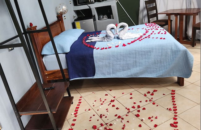 Domo Geodésico 01 - Foto 5