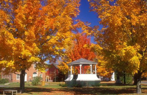 Luxury Farm Stay-Bonds Corner Bungalow-Wolf Pine Hollow - Foto 52