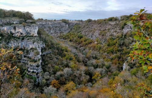 Le Clos de Roussières - Foto 25