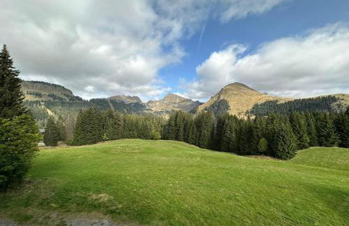 Studio au cœur du Praz-de-Lys - Les Pralyssimes - Foto 17