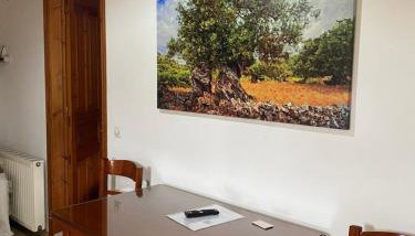 Green Studio - Foto 3