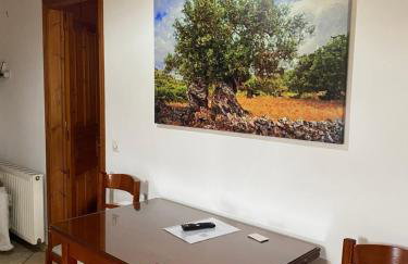 Green Studio - Foto 3