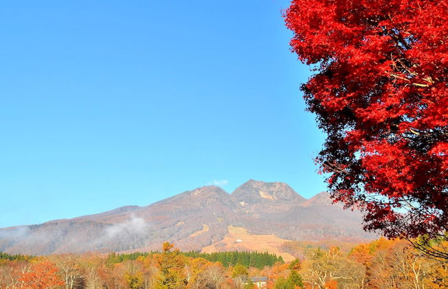 Myoko Onsen cottage Ajisai - Foto 41