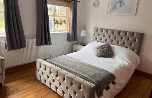 The Paddocks - Photo 23