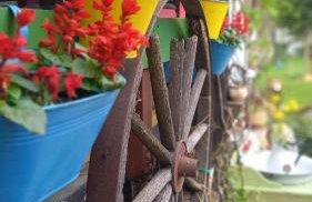 Agroturystyka POD KASZTANEM - Foto 17