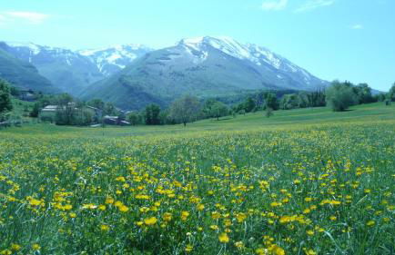 Poesia d'Abruzzo - Photo 6