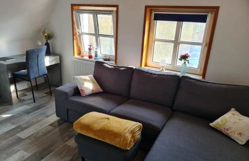 Carlos Hus - Foto 13