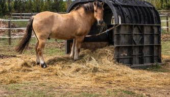 Gîtes du Castell de Blés - Photo 4