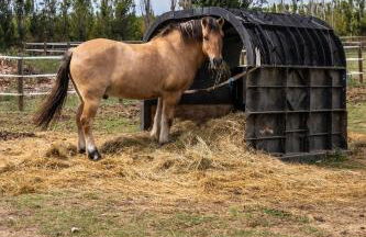 Gîtes du Castell de Blés - Photo 4