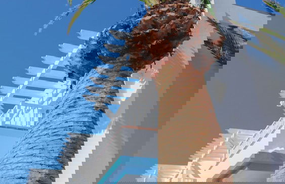 Arena Beach - Foto 57