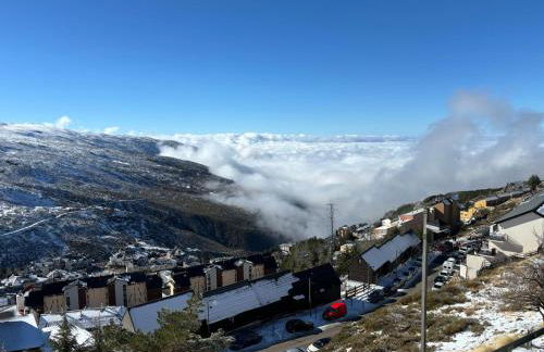 Biznaga Nevada - Foto 52