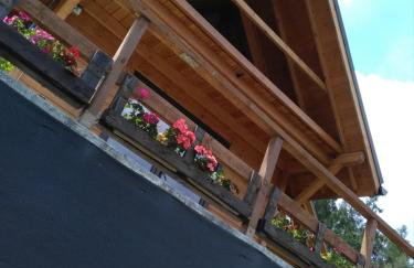 Domek Panorama - Foto 34