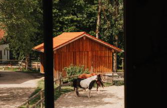 Chalet Zugspitze, Kamin, Tiere - Foto 59