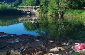 Moulin de Janlard - Foto 10