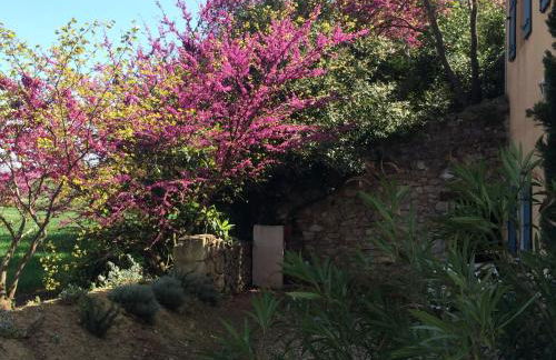 Château Pech-Celeyran - Foto 42