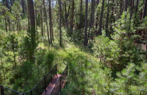 3 Springs Hideout - Family cabin with hot tub in Yosemite - Foto 50