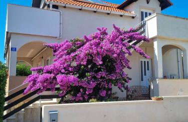 Apartman Milutin - Foto 22