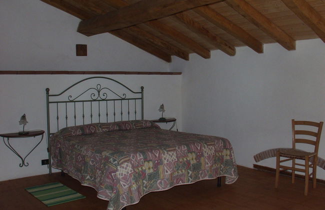 Codavolpe Giardino di Tea - Foto 5