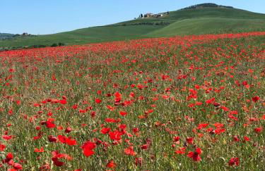 Agriturismo Poggio Tobruk - Foto 1