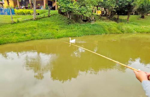 Sítio com piscina e lago - Foto 30