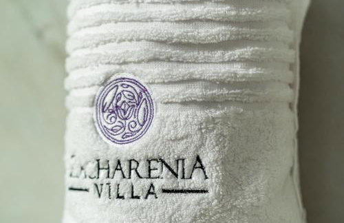 Villa Zacharenia - Photo 27