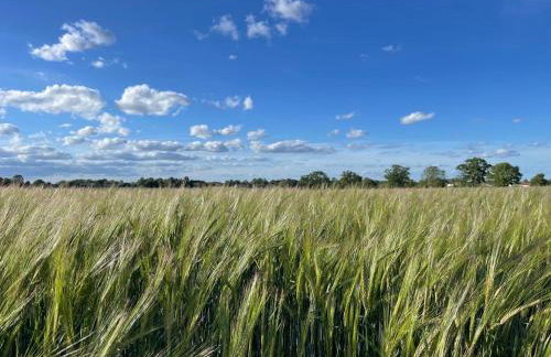 Maple Barn - Photo 18