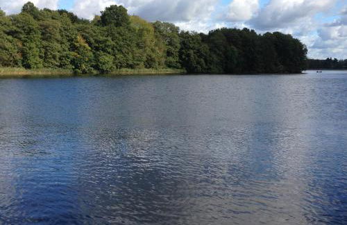 Haus am See in Kleinzerlang - Foto 36