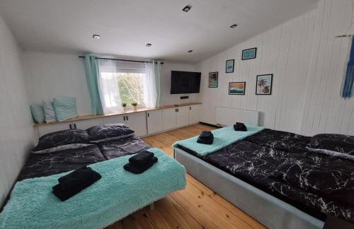 Siedlisko Bieszkowice - Foto 22